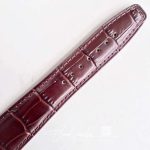 Replica Iwc Portugieser Iw545409 Zf Factory Brown Strap (9)