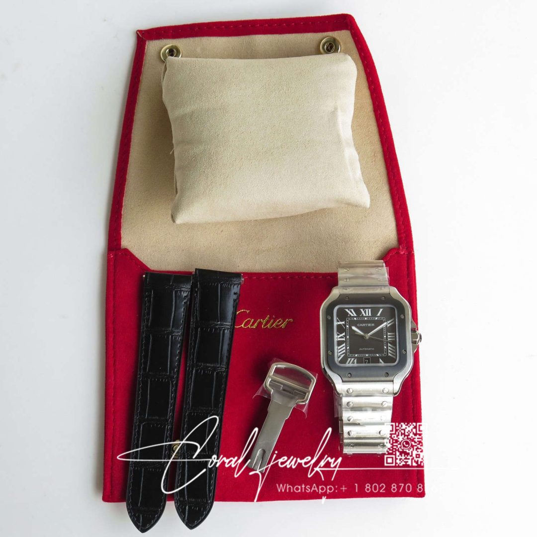 Replica Cartier Santos Wssa0037 Gf Factory V2 Silver Strap (9)