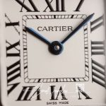 Replica Panthere De Cartier W2pn0007 27mm Bv Factory Silver Stainless Steel (7)