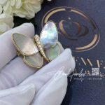 Van Cleef & Arpels Butterfly Clip Yellow Gold, Diamond, Mother Of Pearl Vcara64300 (2)