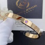 Cartier Love Bracelet, 1 Pink Sapphire Rose Gold, Ref. B6030017 (12)