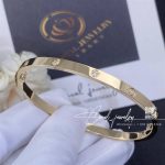 Cartier Love Bracelet, Small Model, 10 Diamonds Yellow Gold Ref. B6047817 (2)