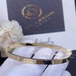 Cartier Love Bracelet, Small Model, 10 Diamonds Yellow Gold Ref. B6047817 (3)