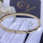 Cartier Love Bracelet, Small Model, 10 Diamonds Yellow Gold Ref. B6047817 (5)