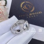 Cartier Panthère De Cartier Ring White Gold, Tsavorite Ref. B4099500 (1)