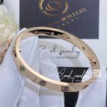 Cartier Love Bracelet Multi Gem Rose Gold Ref. B6036517 (10)