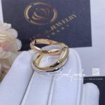 Cartier Trinity Ring Ref. B4086100 (6)