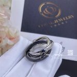 Cartier Trinity Ring, White Gold, Classic Ceramic Ref. B4095600 (3)