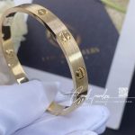 Cartier Love Bracelet Yellow Gold Ref. B6067517 (6)