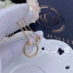 Cartier Juste Un Clou Necklace Yellow Gold (1)