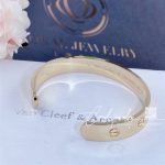 Cartier Love Bracelet Yellow Gold 9mm Ref. B6064617 (2)