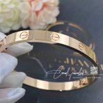 Cartier Love Bracelet Rose Gold Ref. B6035617 (3)