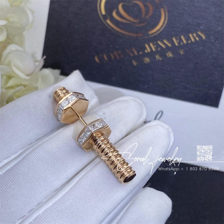 Cartier Ecrou De Cartier Earringbrooch N8515213 (3)