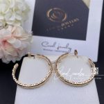 Bulgari Serpenti Viper Earrings Rose Gold 356171 (6)