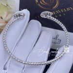 Boucheron Serpent Bohème Bracelet, White Gold S Motifs Jbt00840 (6)