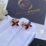 Chaumet Jeux De Liens Earring Rose Gold, Carnelian, Diamond 085125 (2)