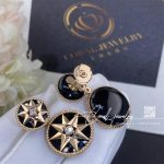 Dior Rose Des Vents Earring Pink Gold, Diamonds And Onyx (3)