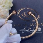 Piaget Possession Open Bangle Bracelet G36pa600 (3)