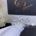 Chaumet Joséphine Splendeur Impériale Solitaire In Platinum (6)