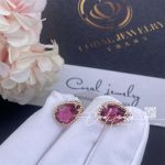 Boucheron serpent bohème ear studs, s motif rhodolite jco01311 (2)