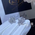 Graff Wild Flower Diamond Stud Earrings Rge1669 (3)