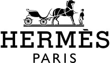 Hermes Logo